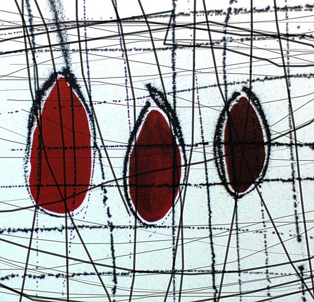 Red Rocks Tangled Helen Kay | Artist Designer - Shop - Helen Kay | Artist Designer